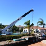 Ensuring Safety and Aesthetics with Tree Removal Services on the Central Coast