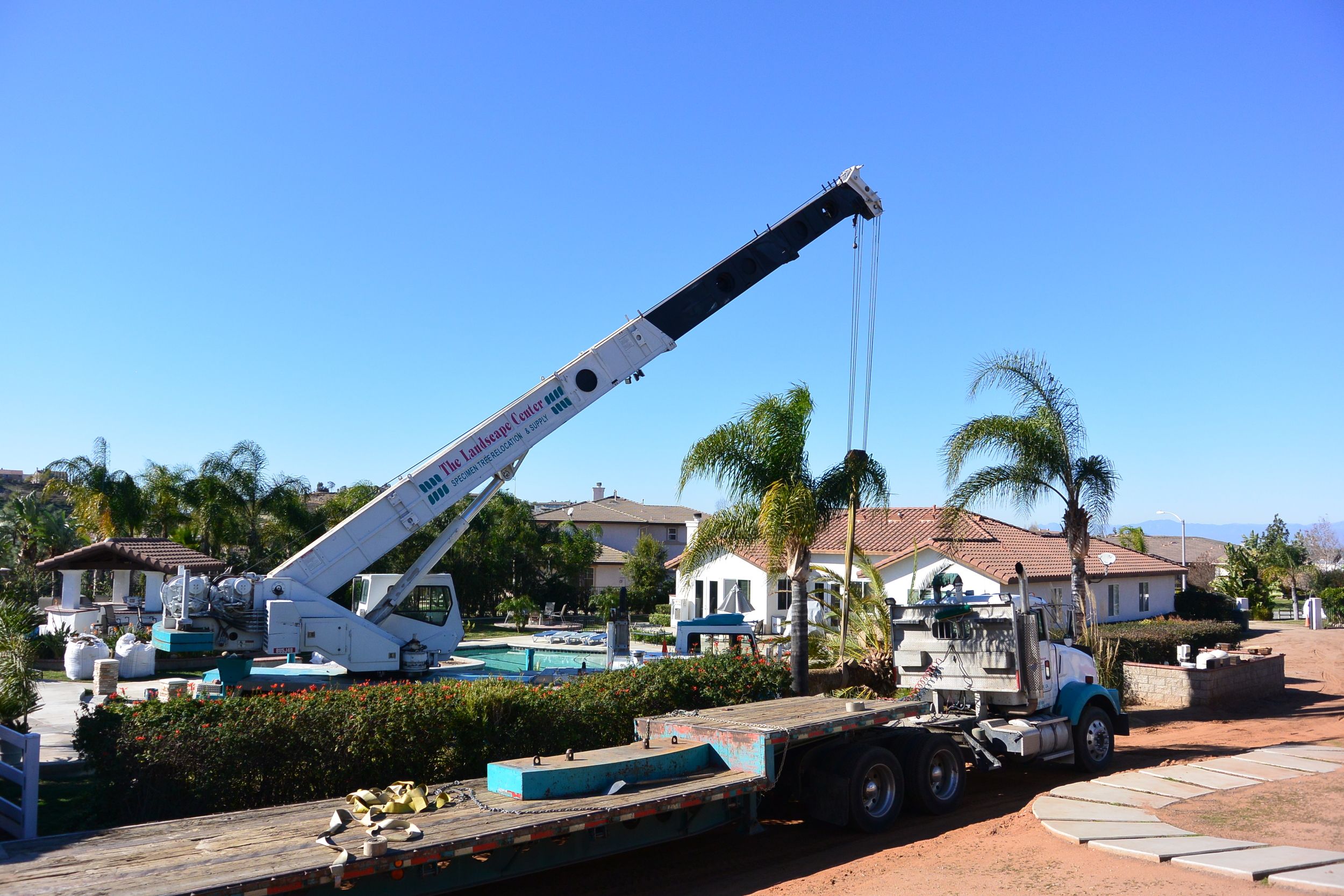 Ensuring Safety and Aesthetics with Tree Removal Services on the Central Coast post thumbnail image